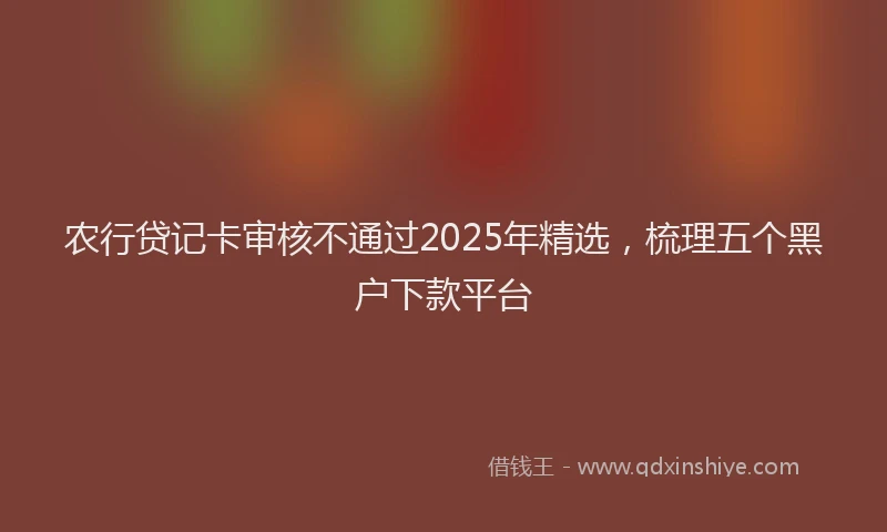 农行贷记卡审核不通过2025年精选，梳理五个黑户下款平台