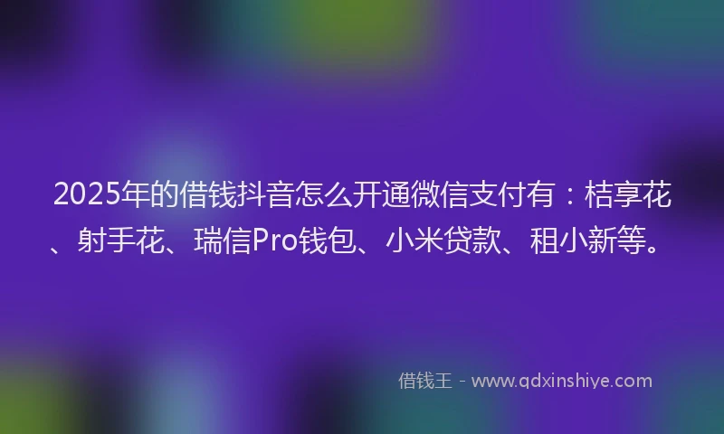 2025年的借钱抖音怎么开通微信支付有：桔享花、射手花、瑞信Pro钱包、小米贷款、租小新等。