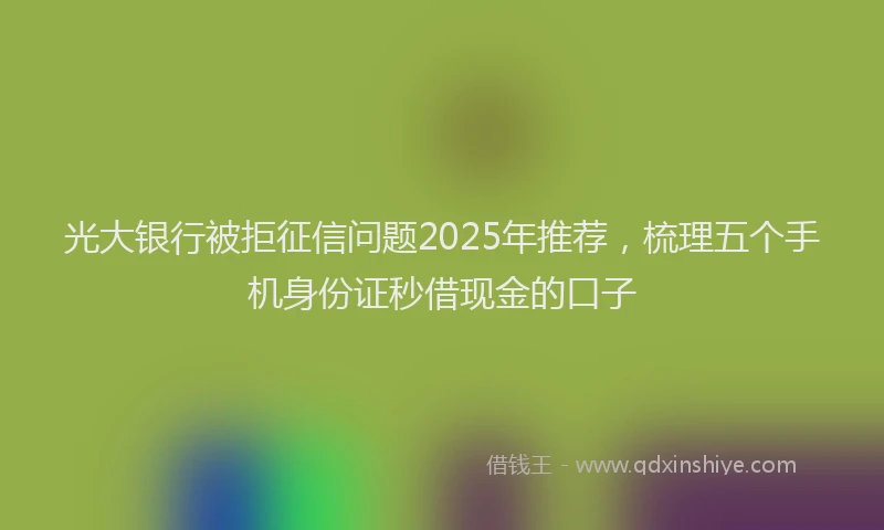 光大银行被拒征信问题2025年推荐，梳理五个手机身份证秒借现金的口子