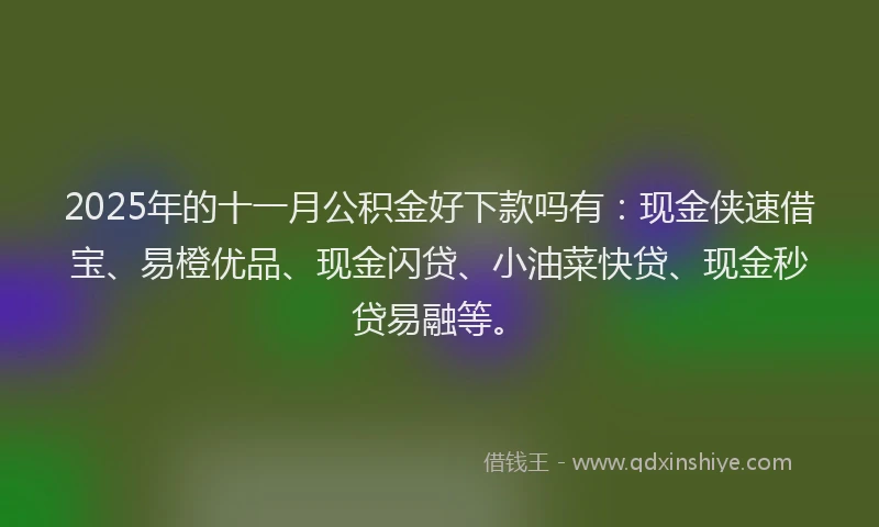 2025年的十一月公积金好下款吗有：现金侠速借宝、易橙优品、现金闪贷、小油菜快贷、现金秒贷易融等。