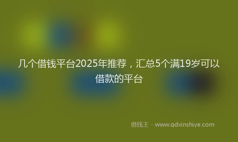 几个借钱平台2025年推荐，汇总5个满19岁可以借款的平台