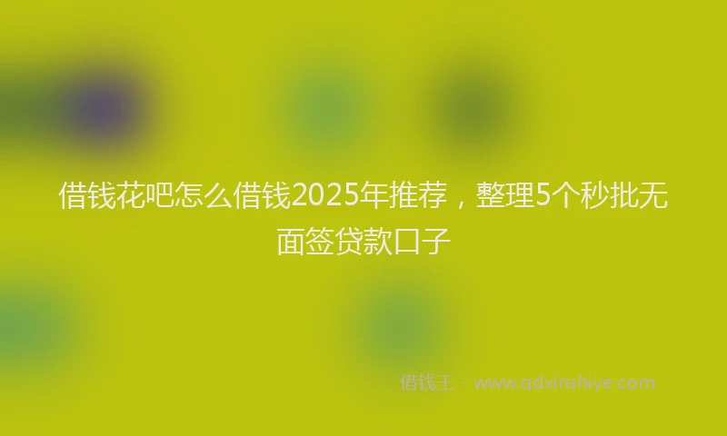 借钱花吧怎么借钱2025年推荐，整理5个秒批无面签贷款口子