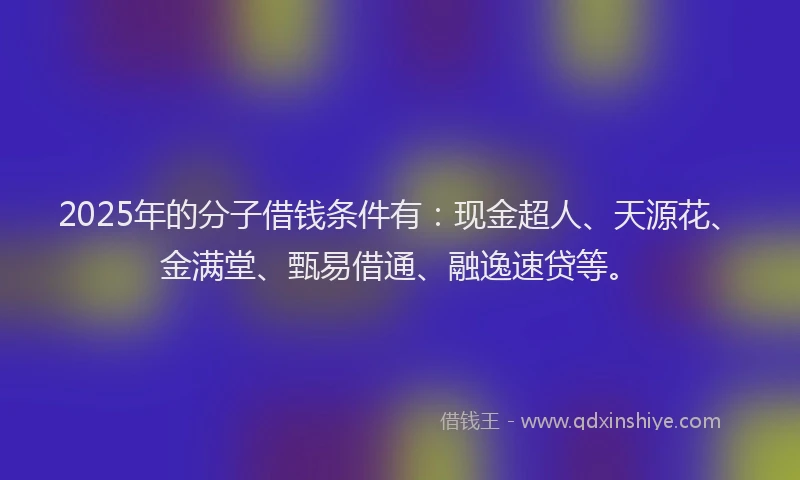 2025年的分子借钱条件有：现金超人、天源花、金满堂、甄易借通、融逸速贷等。