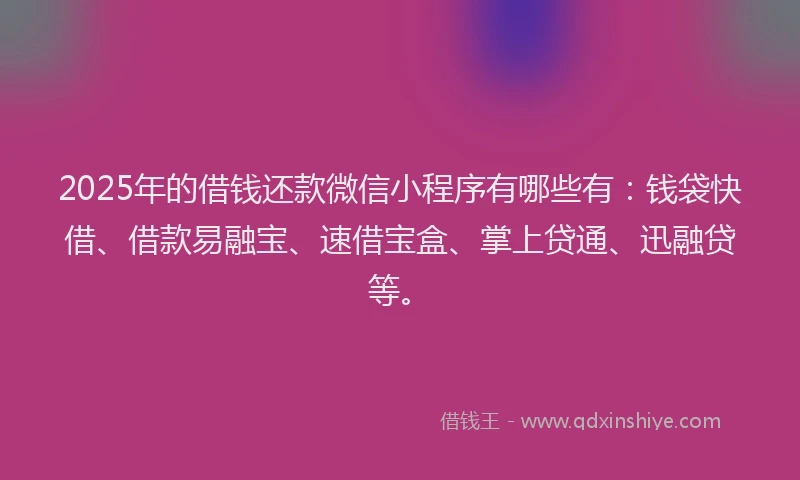 2025年的借钱还款微信小程序有哪些有：钱袋快借、借款易融宝、速借宝盒、掌上贷通、迅融贷等。