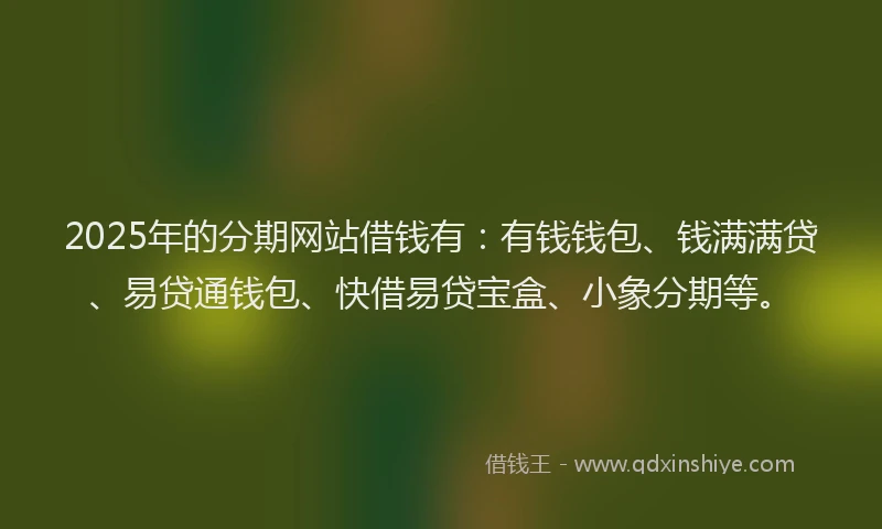 2025年的分期网站借钱有：有钱钱包、钱满满贷、易贷通钱包、快借易贷宝盒、小象分期等。