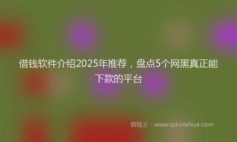 借钱软件介绍2025年推荐，盘点5个网黑真正能下款的平台