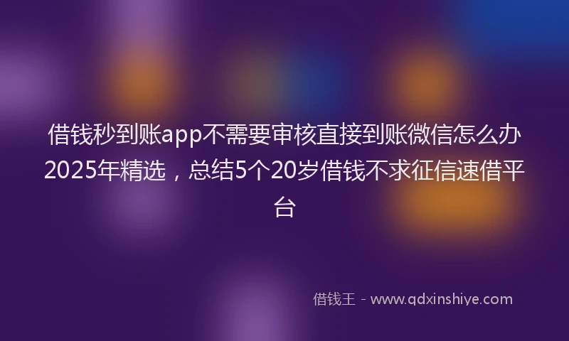 借钱秒到账app不需要审核直接到账微信怎么办2025年精选，总结5个20岁借钱不求征信速借平台