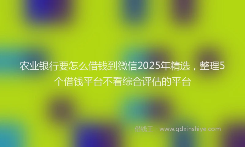农业银行要怎么借钱到微信2025年精选，整理5个借钱平台不看综合评估的平台