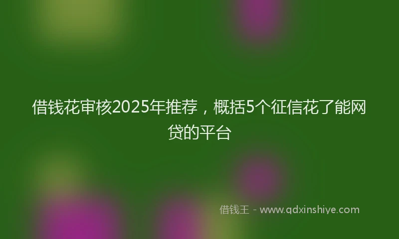 借钱花审核2025年推荐，概括5个征信花了能网贷的平台