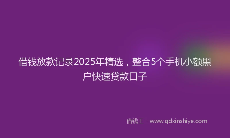 借钱放款记录2025年精选，整合5个手机小额黑户快速贷款口子