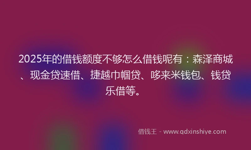 2025年的借钱额度不够怎么借钱呢有：森泽商城、现金贷速借、捷越巾帼贷、哆来米钱包、钱贷乐借等。