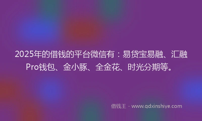 2025年的借钱的平台微信有：易贷宝易融、汇融Pro钱包、金小豚、全金花、时光分期等。