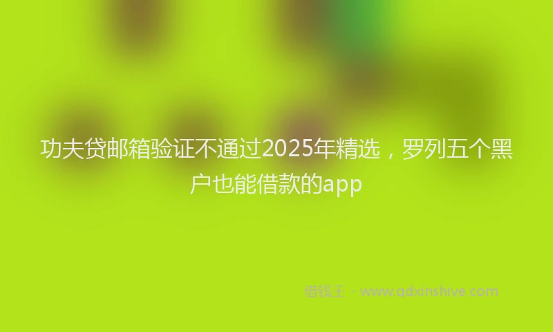 功夫贷邮箱验证不通过2025年精选，罗列五个黑户也能借款的app
