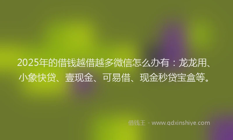 2025年的借钱越借越多微信怎么办有：龙龙用、小象快贷、壹现金、可易借、现金秒贷宝盒等。