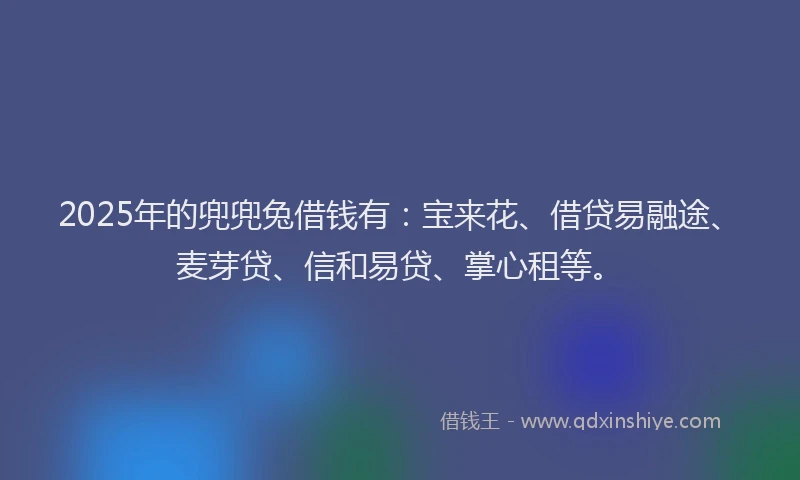 2025年的兜兜兔借钱有：宝来花、借贷易融途、麦芽贷、信和易贷、掌心租等。