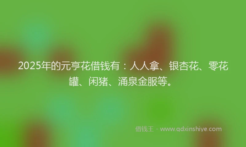2025年的元亨花借钱有：人人拿、银杏花、零花罐、闲猪、涌泉金服等。