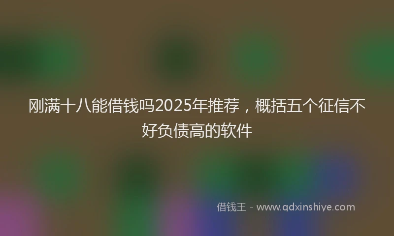 刚满十八能借钱吗2025年推荐，概括五个征信不好负债高的软件