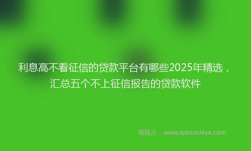 利息高不看征信的贷款平台有哪些2025年精选，汇总五个不上征信报告的贷款软件