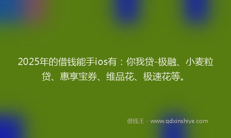 2025年的借钱能手ios有：你我贷-极融、小麦粒贷、惠享宝券、维品花、极速花等。