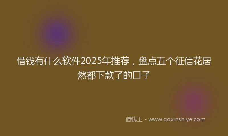 借钱有什么软件2025年推荐，盘点五个征信花居然都下款了的口子