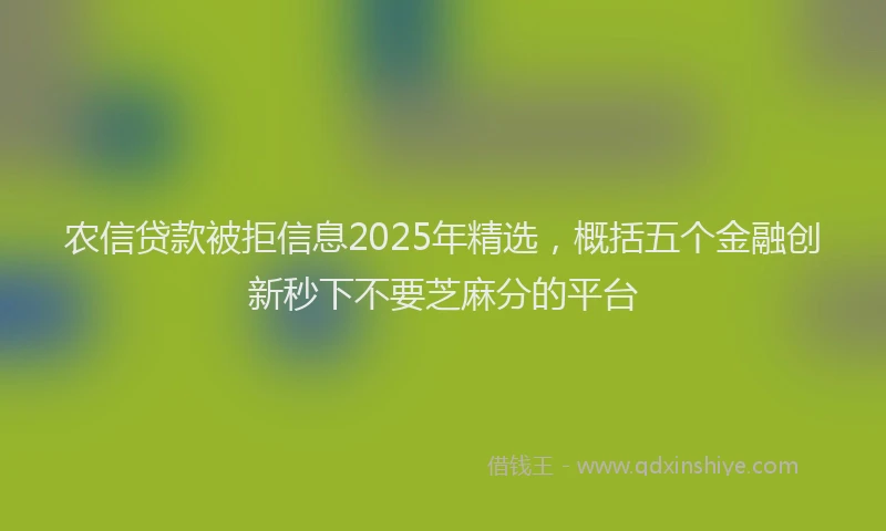 农信贷款被拒信息2025年精选，概括五个金融创新秒下不要芝麻分的平台