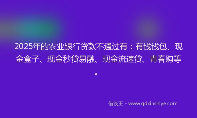 2025年的农业银行贷款不通过有：有钱钱包、现金盒子、现金秒贷易融、现金流速贷、青春购等。