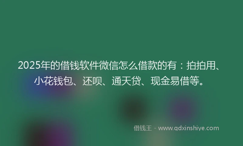2025年的借钱软件微信怎么借款的有：拍拍用、小花钱包、还呗、通天贷、现金易借等。