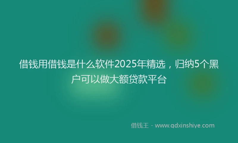 借钱用借钱是什么软件2025年精选，归纳5个黑户可以做大额贷款平台