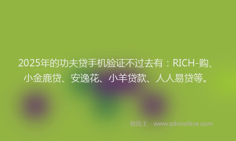 2025年的功夫贷手机验证不过去有：RICH-购、小金鹿贷、安逸花、小羊贷款、人人易贷等。