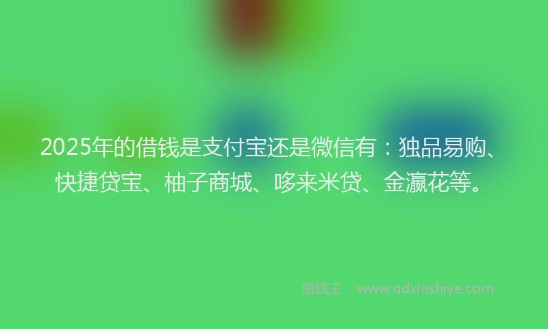 2025年的借钱是支付宝还是微信有：独品易购、快捷贷宝、柚子商城、哆来米贷、金瀛花等。
