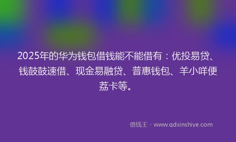 2025年的华为钱包借钱能不能借有：优投易贷、钱鼓鼓速借、现金易融贷、普惠钱包、羊小咩便荔卡等。