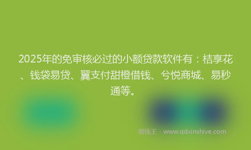 2025年的免审核必过的小额贷款软件有：桔享花、钱袋易贷、翼支付甜橙借钱、兮悦商城、易秒通等。