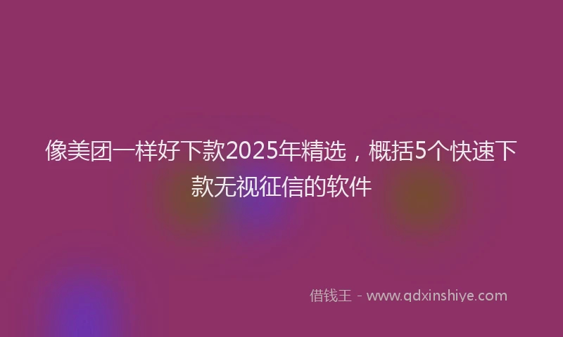 像美团一样好下款2025年精选，概括5个快速下款无视征信的软件
