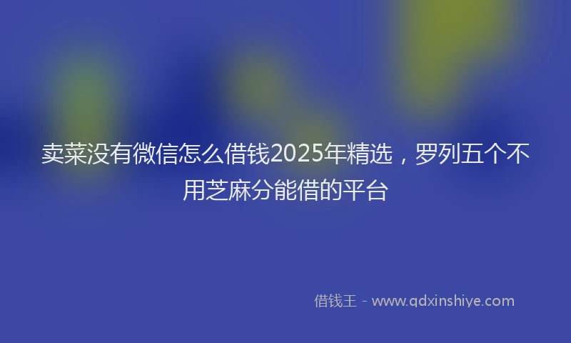 卖菜没有微信怎么借钱2025年精选，罗列五个不用芝麻分能借的平台