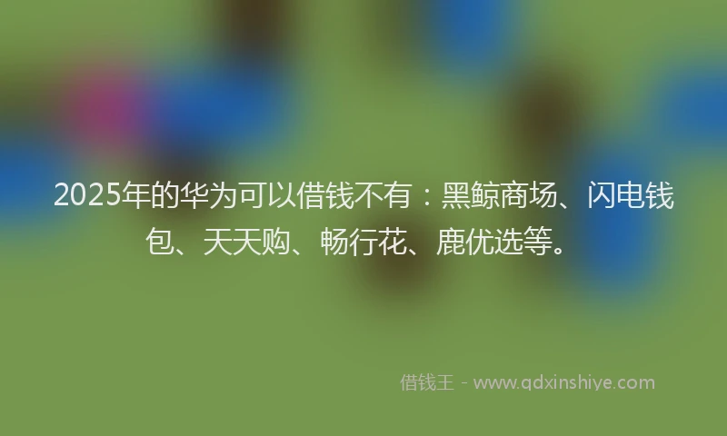 2025年的华为可以借钱不有：黑鲸商场、闪电钱包、天天购、畅行花、鹿优选等。