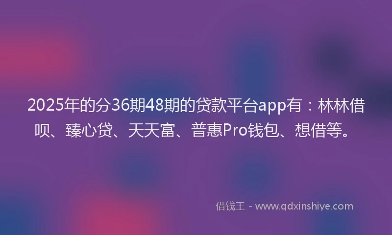 2025年的分36期48期的贷款平台app有：林林借呗、臻心贷、天天富、普惠Pro钱包、想借等。