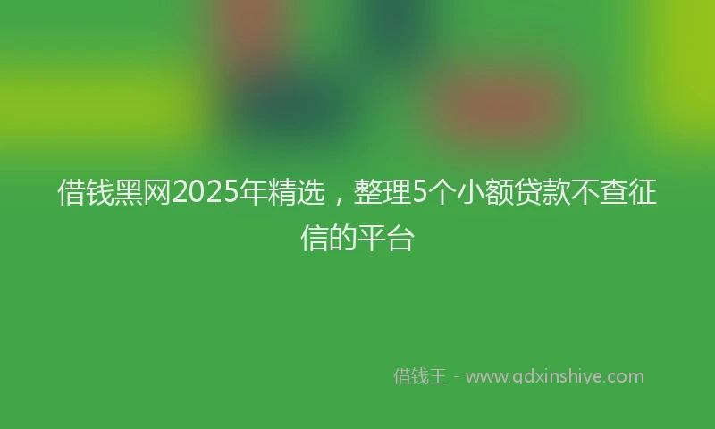 借钱黑网2025年精选，整理5个小额贷款不查征信的平台