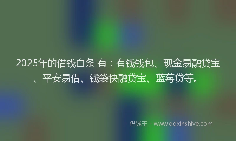 2025年的借钱白条l有：有钱钱包、现金易融贷宝、平安易借、钱袋快融贷宝、蓝莓贷等。