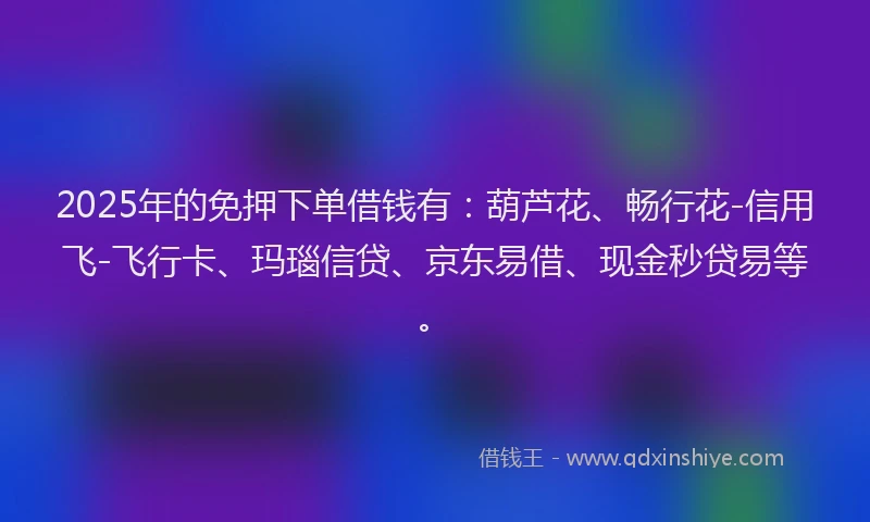2025年的免押下单借钱有：葫芦花、畅行花-信用飞-飞行卡、玛瑙信贷、京东易借、现金秒贷易等。