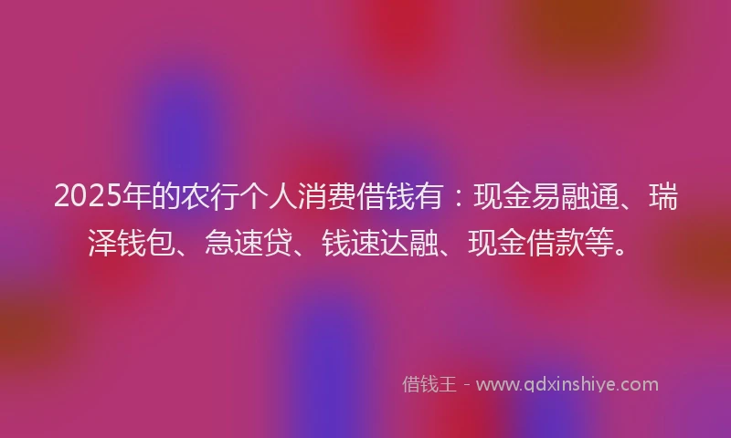 2025年的农行个人消费借钱有：现金易融通、瑞泽钱包、急速贷、钱速达融、现金借款等。