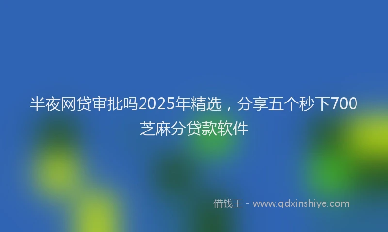 半夜网贷审批吗2025年精选，分享五个秒下700芝麻分贷款软件