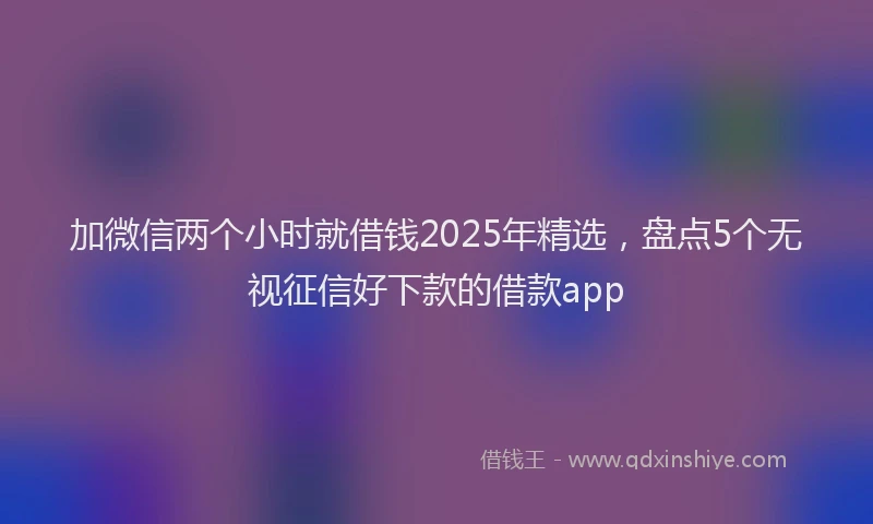 加微信两个小时就借钱2025年精选，盘点5个无视征信好下款的借款app