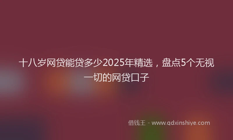十八岁网贷能贷多少2025年精选，盘点5个无视一切的网贷口子