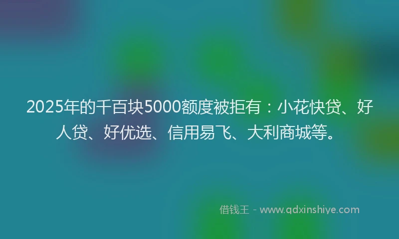 2025年的千百块5000额度被拒有：小花快贷、好人贷、好优选、信用易飞、大利商城等。
