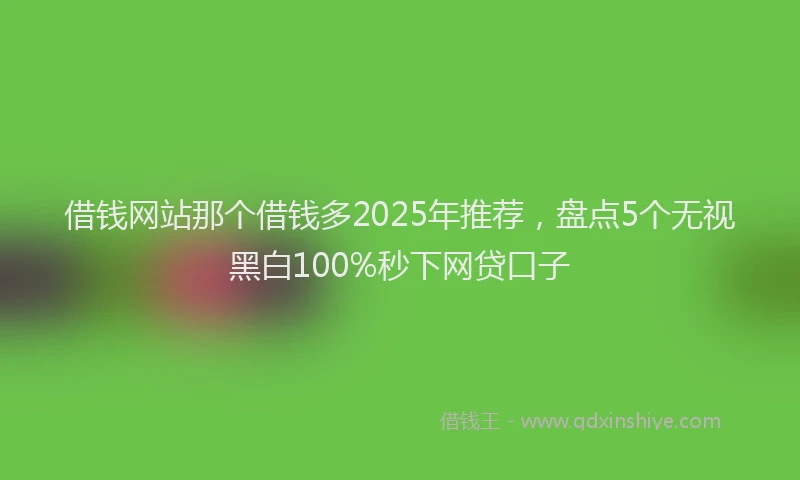 借钱网站那个借钱多2025年推荐，盘点5个无视黑白100%秒下网贷口子