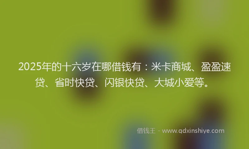 2025年的十六岁在哪借钱有：米卡商城、盈盈速贷、省时快贷、闪银快贷、大城小爱等。