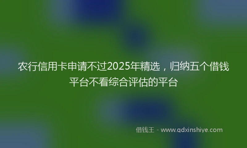 农行信用卡申请不过2025年精选，归纳五个借钱平台不看综合评估的平台