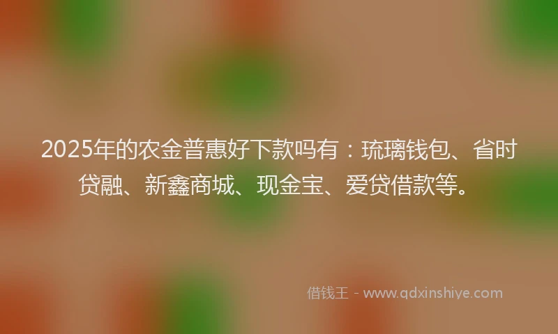 2025年的农金普惠好下款吗有：琉璃钱包、省时贷融、新鑫商城、现金宝、爱贷借款等。