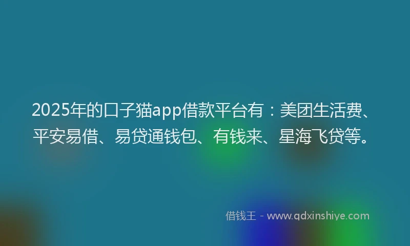 2025年的口子猫app借款平台有：美团生活费、平安易借、易贷通钱包、有钱来、星海飞贷等。