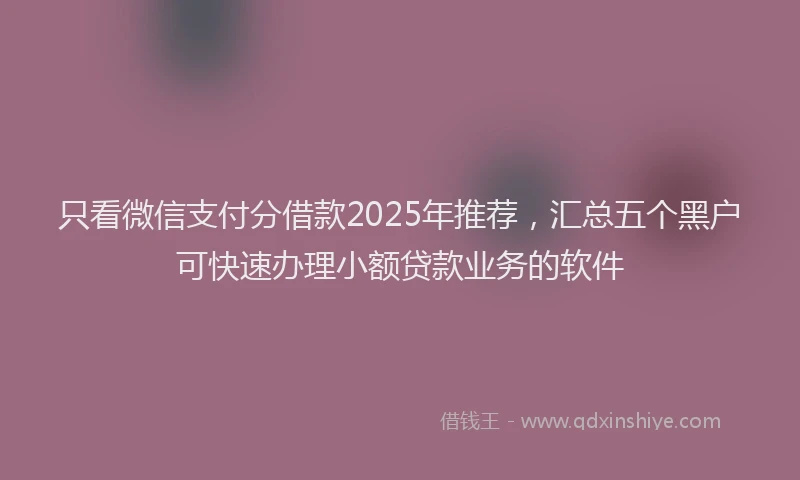 只看微信支付分借款2025年推荐，汇总五个黑户可快速办理小额贷款业务的软件